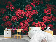 Самоклеюча плівка Oracal з малюнком "Червоні троянди", стильні фотошпалери для дому, фото 8