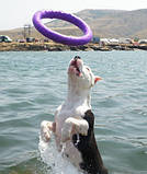 Тренувальний снаряд Puller Пуллер Mini діаметр 18 см, фото 5