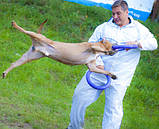 Тренувальний снаряд Puller Пуллер Mini діаметр 18 см, фото 6