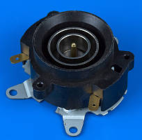 Контактна група з термостатом для електроп'ятильника LJ-60 Liang Ji