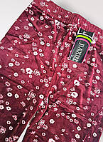 Спортивні велюрові штани для жінок оптом, M/L-XL/2XL рр., арт. Hay-JX-8924, фото 4