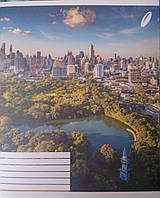 Тетрадь общая 96 листов клетка ТВ-6 Бриск