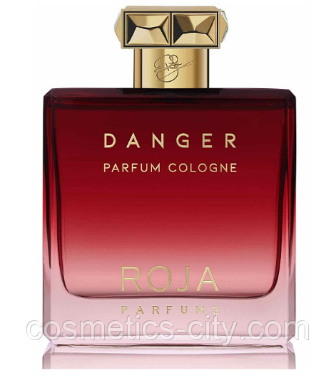 Парфюм мужской Roja Parfums Danger Pour Homme, 100 мл.(premium)