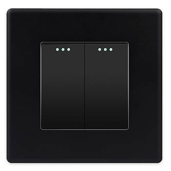 Прохідний 2-клавішний вимикач 1DAL | Чорний, З індикацією (P86-SW2G2W.BL)