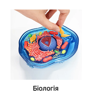 Біологія