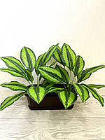 Штучна калатея смугаста ( латекс, 52 см), фото 4