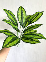 Штучна калатея смугаста ( латекс, 52 см), фото 9
