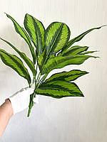Штучна калатея смугаста ( латекс, 52 см), фото 6