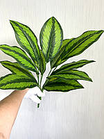 Штучна калатея смугаста ( латекс, 52 см), фото 8