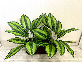 Штучна калатея смугаста ( латекс, 52 см)