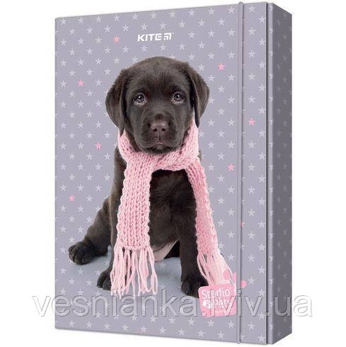 Папка для зошитів В5 "Studio Pets" картонна на резинці SP23-210 Kite
