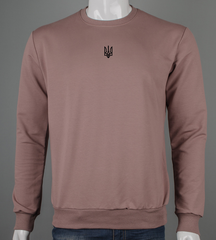 Світшот чоловічий Тризуб 7401с (Уп.4шт M-XXL), Капучино, фото 1