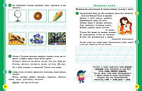 2 клас. НУШ. Українська мова та читання. Навчальний посібник. 3 частина. У 6-ти частинах (Цепова І.В,), Ранок, фото 2