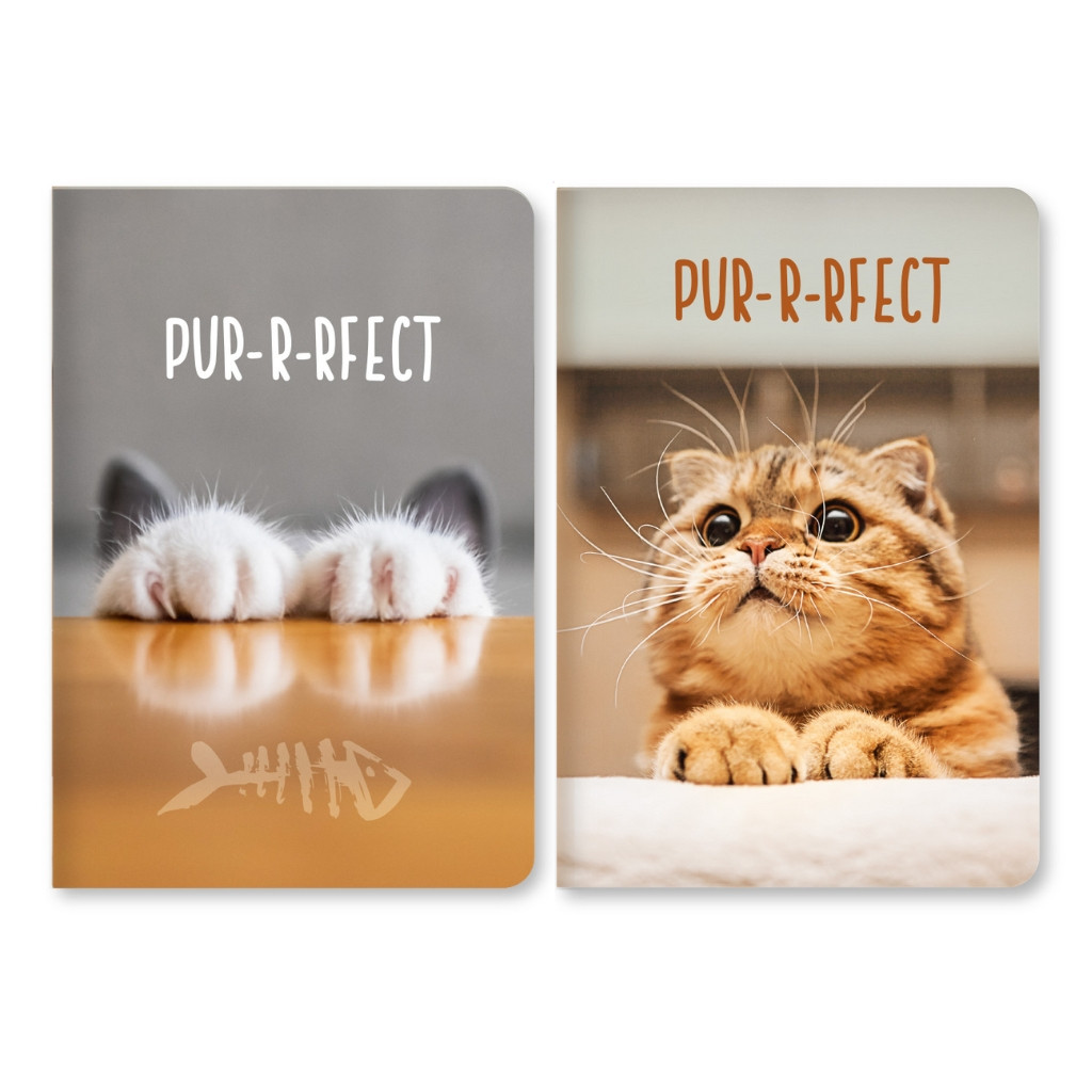 Блокнот А6 96 арк инт обл клітинка лам Коти 426 Асорті