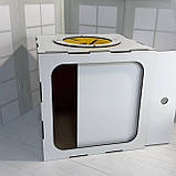 Коробка "Вгадай сюрприз" з логотипом 30 см, фото 2