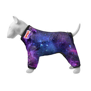 NASA
