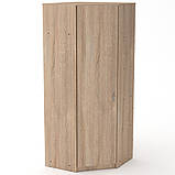 Шафа кутова для офісу Шафа-3У, фото 6