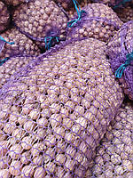 Часник Ірен (однозубка) посадковий фракція 10 мм