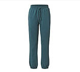 Якісні жіночі теплі спортивні штани, брюки від tcm tchibo (Чібо), Німеччина, S-M, фото 2