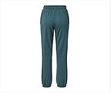 Якісні жіночі теплі спортивні штани, брюки від tcm tchibo (Чібо), Німеччина, S-M, фото 3