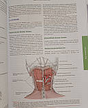 Доннеллі Міофасціальний біль і дисфункція у 2 томах Посібник по тригерних точках»., фото 5