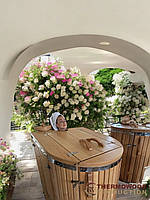 💰 Скільки коштує процедура у фітобочці? Доступна розкіш для вашого здоров'я! 💰 Фото, видео