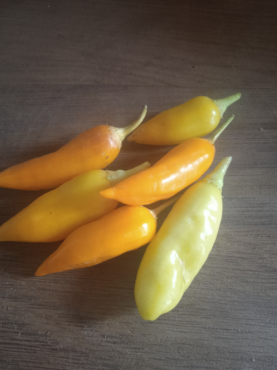 Гострий перець Aji Habanero Hot сушені плоди 1 штука