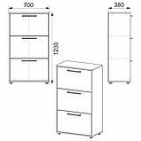 Тумба для взуття ТО-20 (70х38х123 см) Вільха Компаніт, фото 2