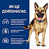 Сухий корм для собак Hill's Prescription Diet Gastrointestinal Biome з розладами травлення 1.5 кг, фото 7