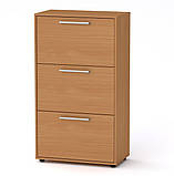 Тумба для взуття ТО-20 (70х38х123 см) Дуб крафт золотий Компаніт, фото 6