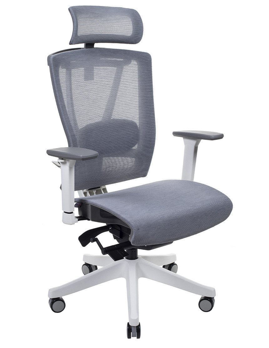 КРІСЛО КОМП'ЮТЕРНЕ З ПІДГОЛІВНИКОМ ENRANDNEPR ERGO CHAIR 2 MESH WHITE Сіра