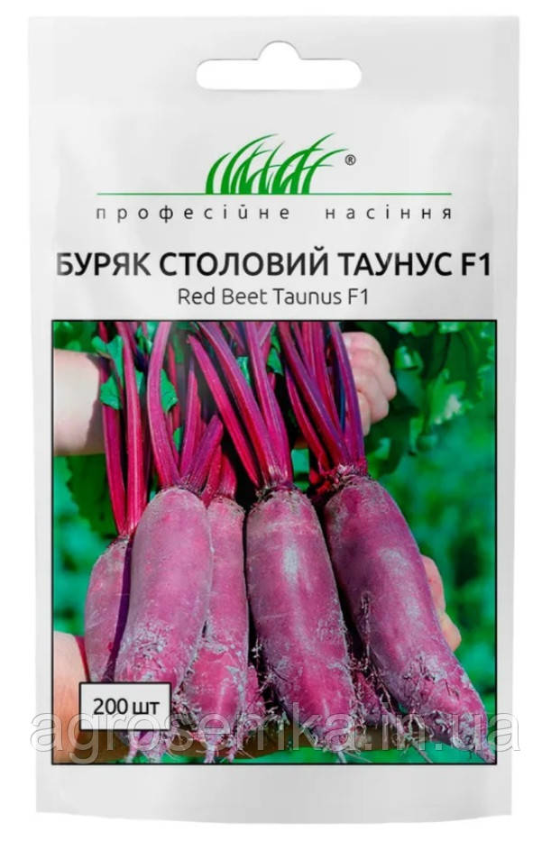 Столовий буряк Таунус F1
