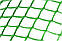 Сітка 20*20 пластмасова 1.0х20 м (зелена), фото 4
