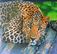 Живопис за номерами Леопард 40 х 50 см Y5038