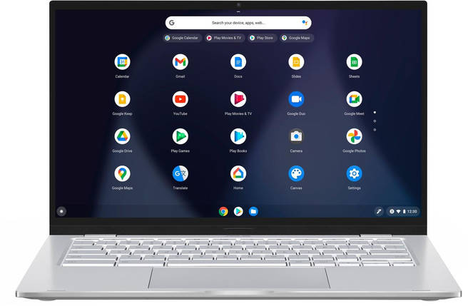 Ноутбук ASUS Chromebook C425TA-M364, фото 3
