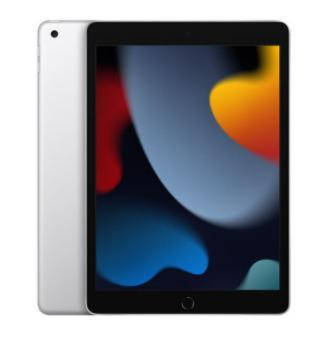 Планшет Apple iPad 10.2 2021 Wi-Fi 256GB Silver (MK2P3RK/A), фото 1