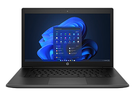 Ноутбук HP 14" ProBook Fortis G10 (8M3T5UT), фото 3
