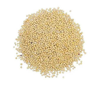 Гірчиця польова, біла 25кг ТМ УКРАЇНА FG