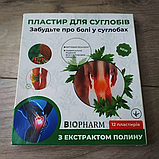 Знеболювальний пластир для коліна з екстрактом полину BIOPHARM 12 шт./1уп, 100% натуральний продукт, фото 8
