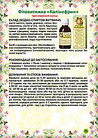 Колінефрин фітовитяжка 40 мл