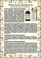 Лямбліцин фітовитяжка 40 мл