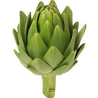 Артишоку екстракт 30мл Фитолайн