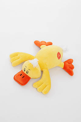 Качка Чарлі