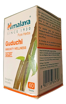 Гудучі, імуномодулювальний засіб, Guduchi (60cap)