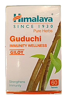 Гудучи (Амріта, Гилоя, Гилоэ), імуномодулюючий засіб, Guduchi (60cap)