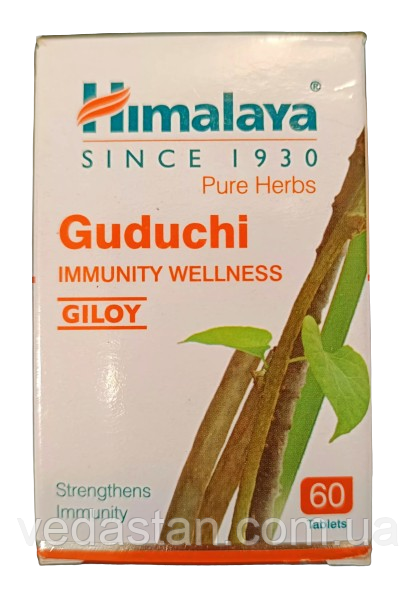 Гудучи (Амріта, Гилоя, Гилоэ), імуномодулюючий засіб, Guduchi (60cap), фото 1