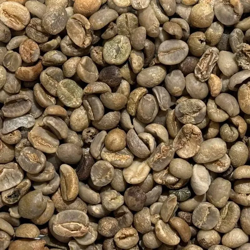 Арабіка Кенія Mbuni (Arabica Kenya Mbuni) 1 кг. ЗЕЛЕНА кава