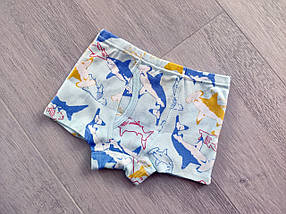 Комплект дитячих трусиків боксери на хлопчика 2-10 років, набір із 3 штук, арт. ТМ022, фото 4