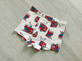 Набір нижньої білизни дитячий на хлопчика 3 пари трусиків, арт. ТМ023, фото 5