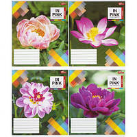 Від 16 шт. Зошит кольоровий 48 аркушів, клітинка 3664D  купити дешево оптом в інтернет-магазині